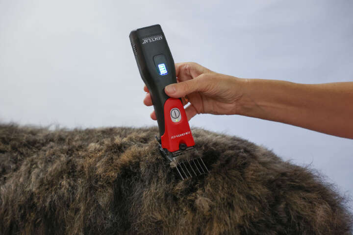 AESCULAP Akkuschermaschine Favorita CLi